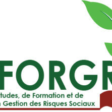CEFORGRIS : Prolongation de la date limite de dépôt de candidature : 20 janvier 2022